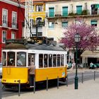 Schwarzfahrer in Lissabon