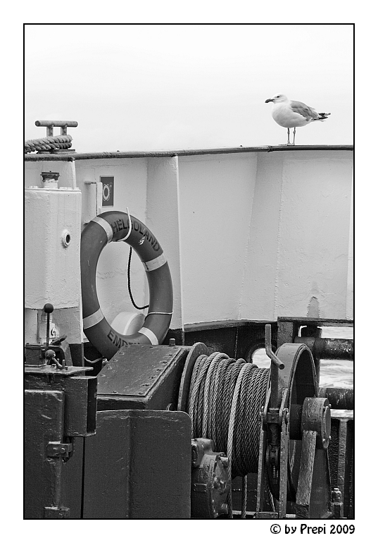 Schwarzfahrer nach Helgoland......