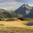 Schwarzhorn - Grosse Scheidegg - Wetterhorn