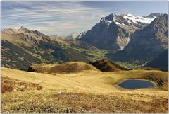 Schwarzhorn - Grosse Scheidegg - Wetterhorn