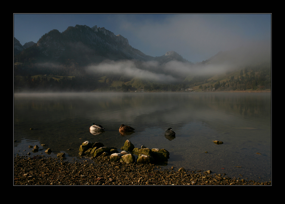 schwarzsee II