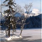 Schwarzsee-im-Winter