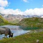 Schwarzsee Passeiertal