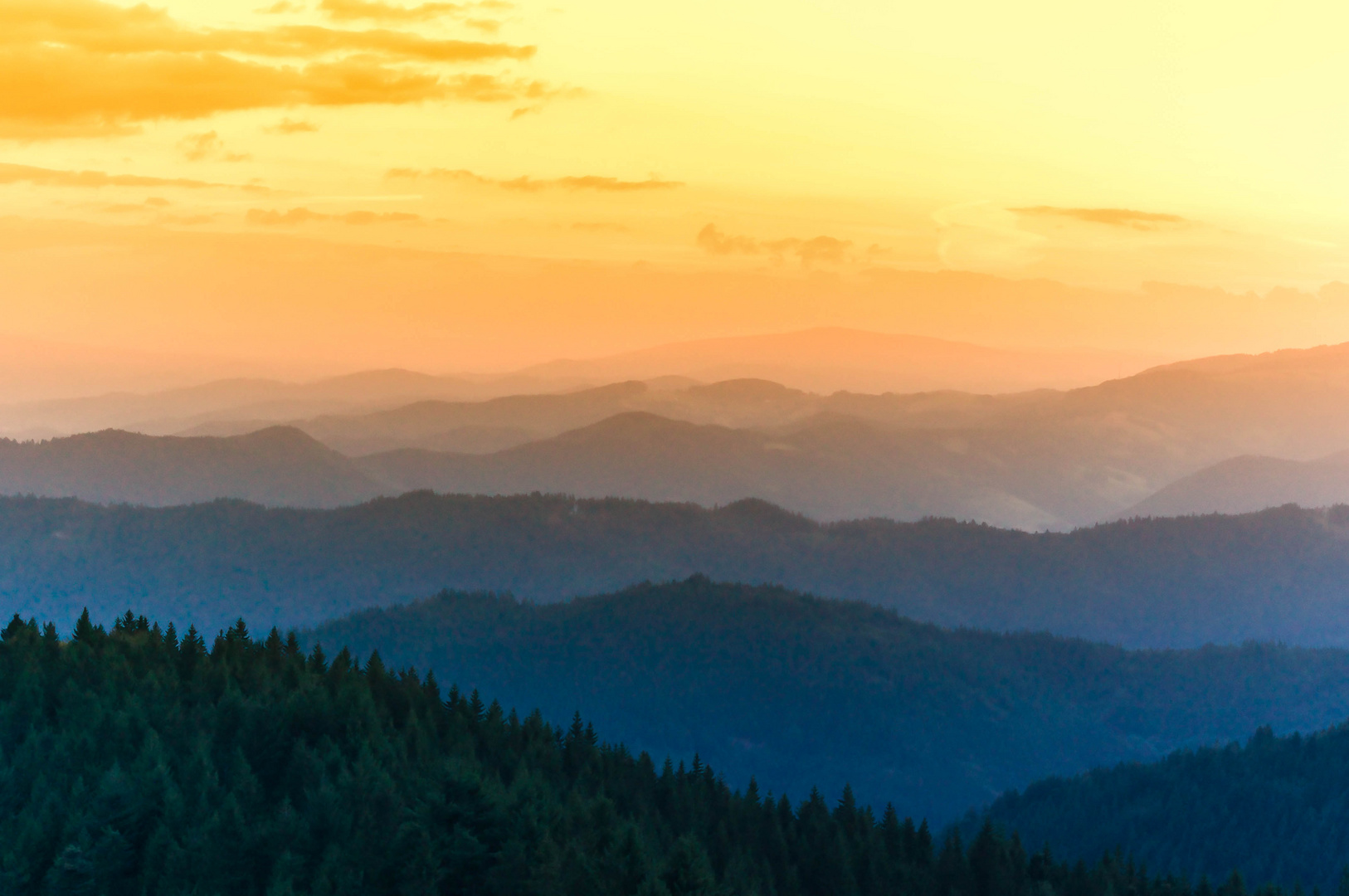 Schwarzwälder Aussichten