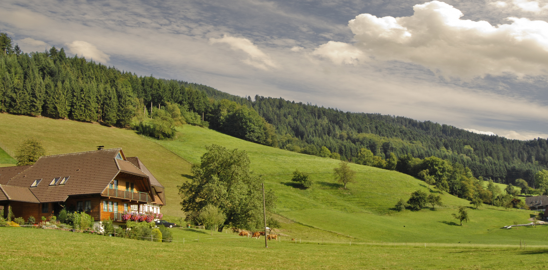 Schwarzwälder Bauernhof