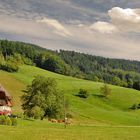 Schwarzwälder Bauernhof