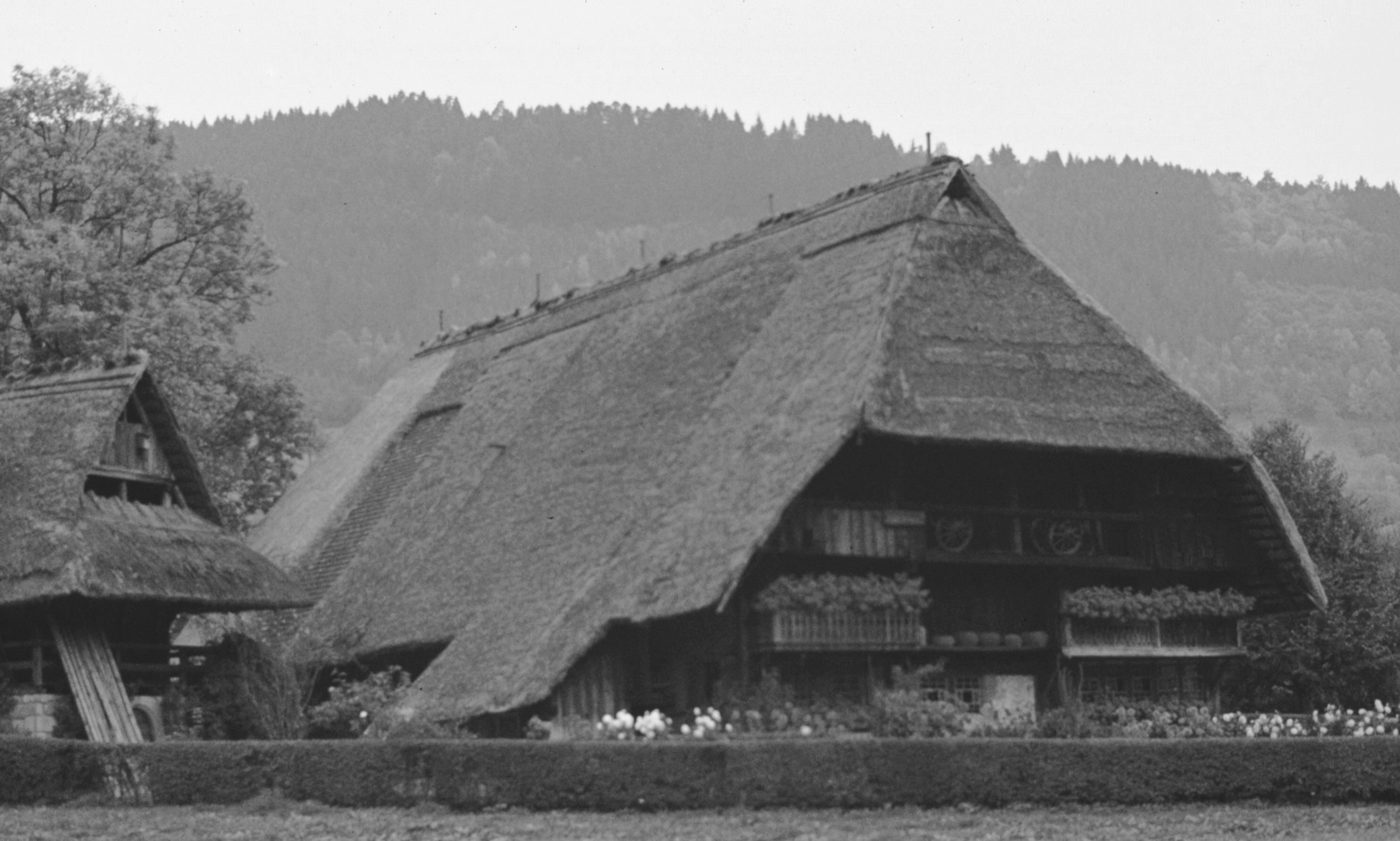 schwarzwälder Freilichtmuseum Gutach