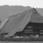 schwarzwälder Freilichtmuseum Gutach