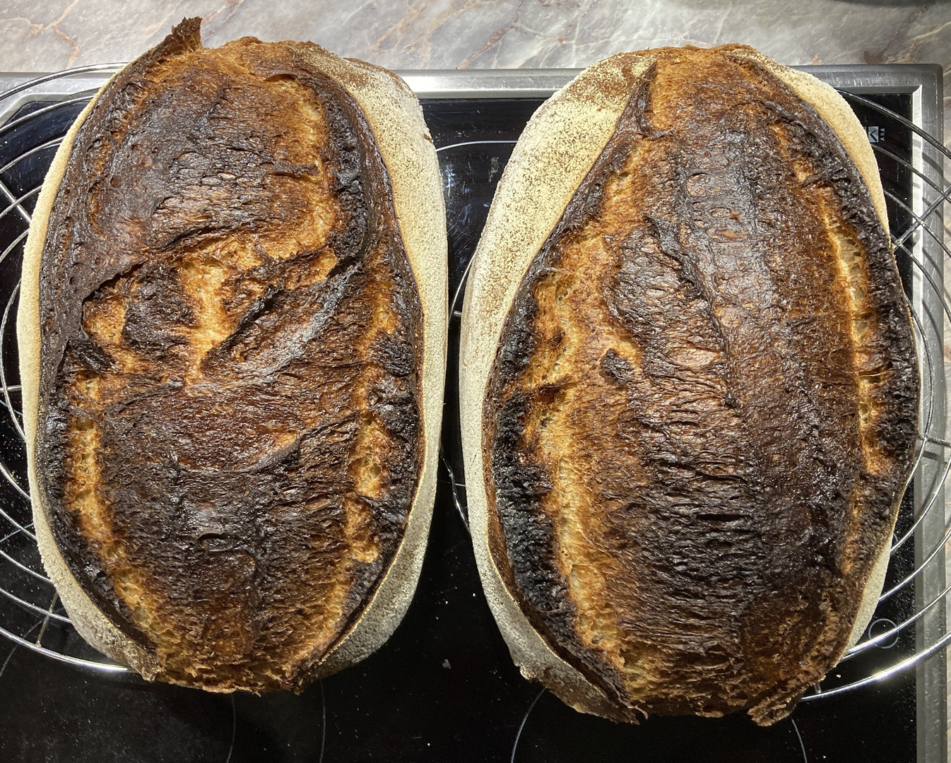 Schwarzwälder Hausbrot