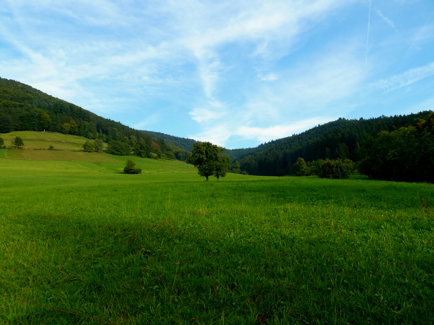 Schwarzwälder Herbststimmung