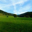 Schwarzwälder Herbststimmung