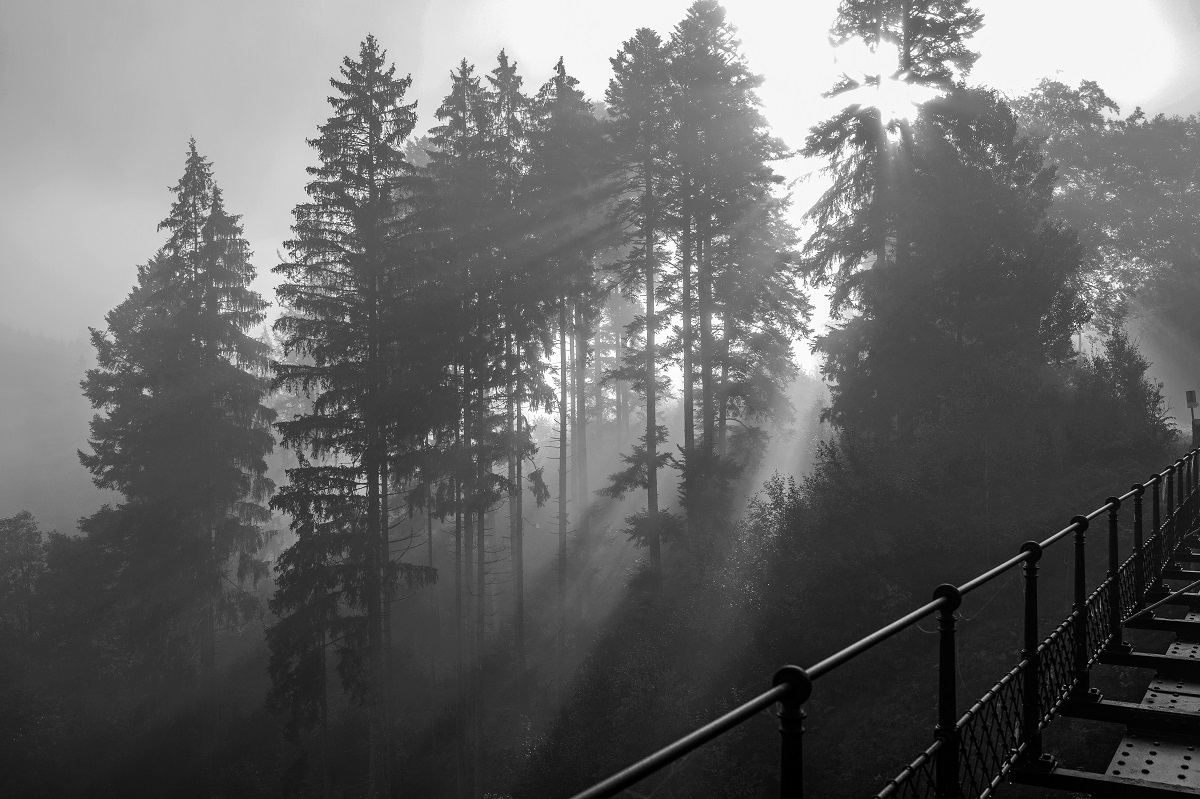 Schwarzwälder Herbststimmung