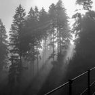 Schwarzwälder Herbststimmung