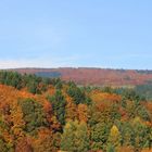 Schwarzwälder Hoch- und Herbstwald