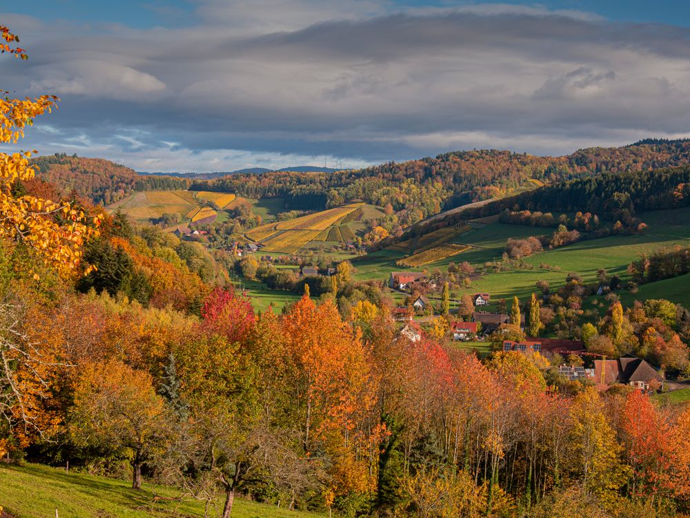 Schwarzwälder Kulturlandschaft im Herbst