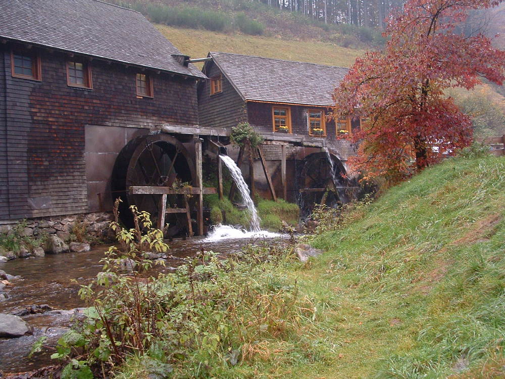 Schwarzwälder Mühle bei Regen