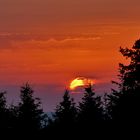 Schwarzwälder Sonnenuntergang