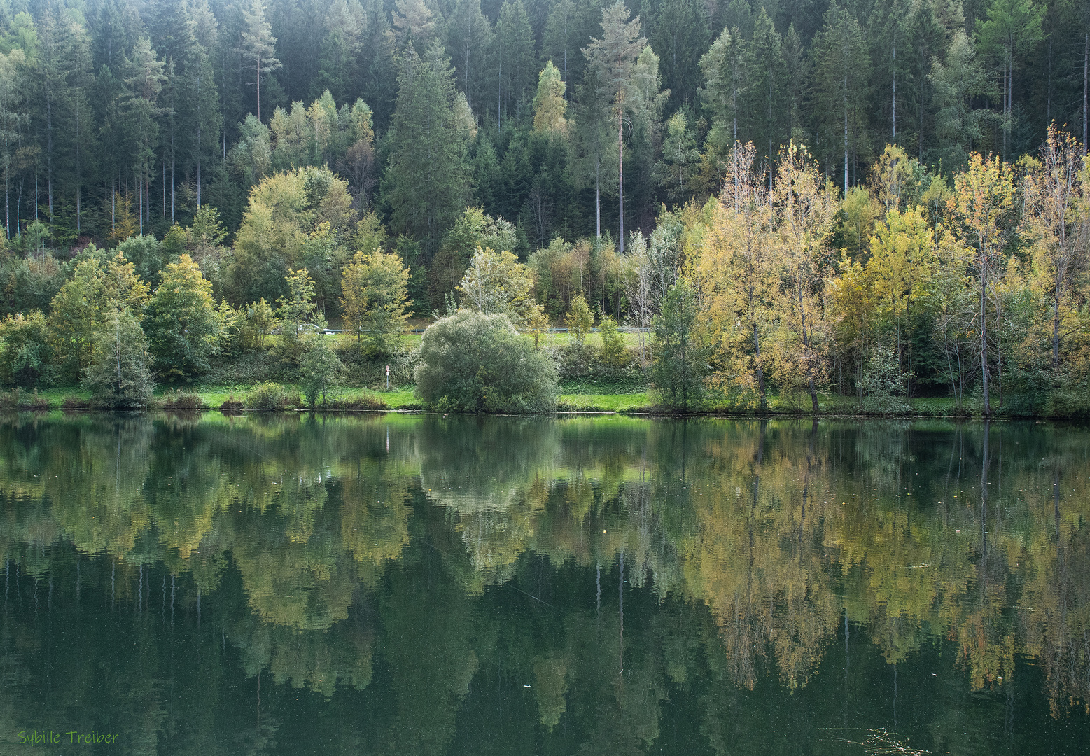 Schwarzwälder Spiegelung