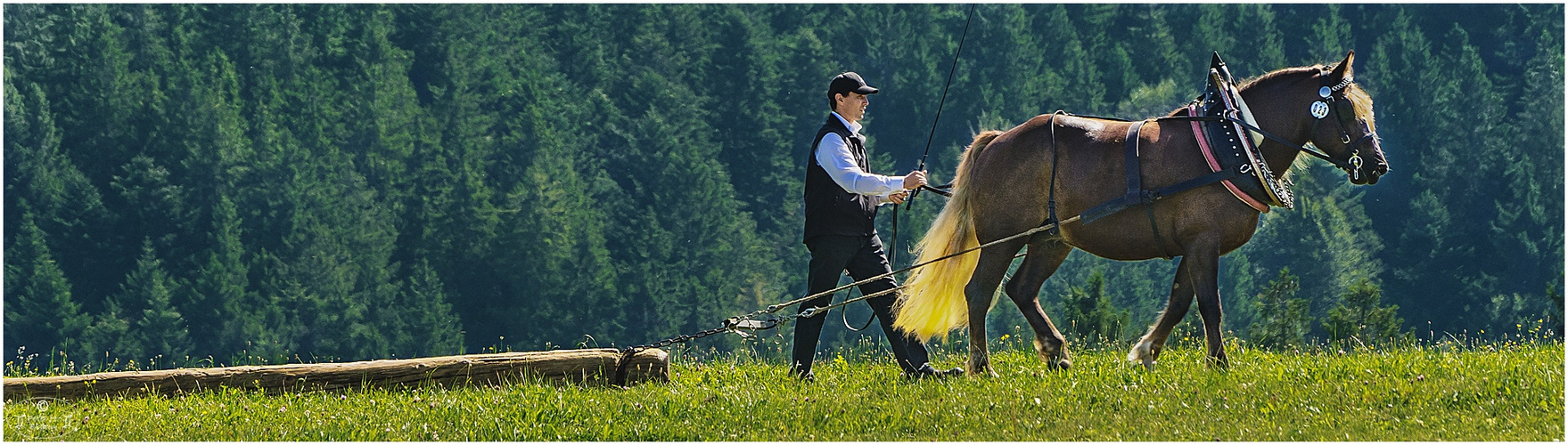 Schwarzwälder Waldarbeiter