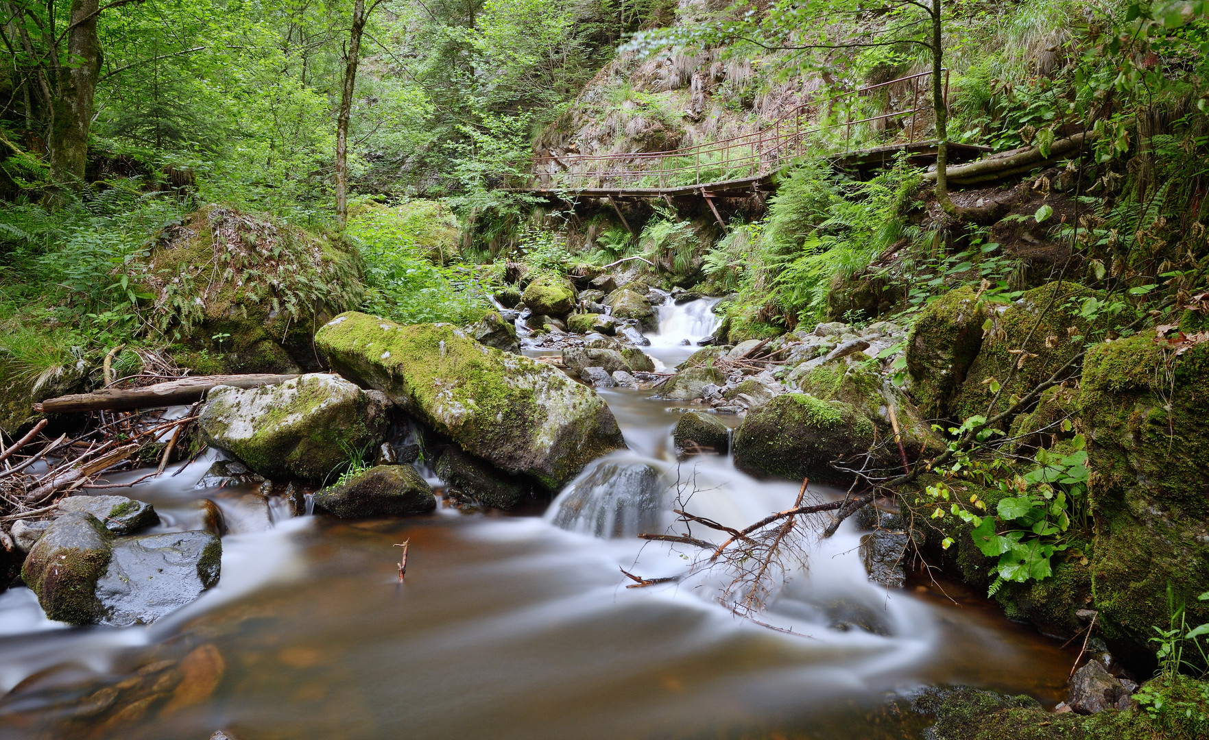 Schwarzwälder Wasserfälle (1/2)