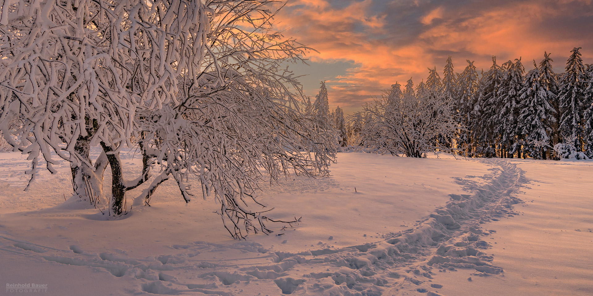 Schwarzwälder Wintermärchen 