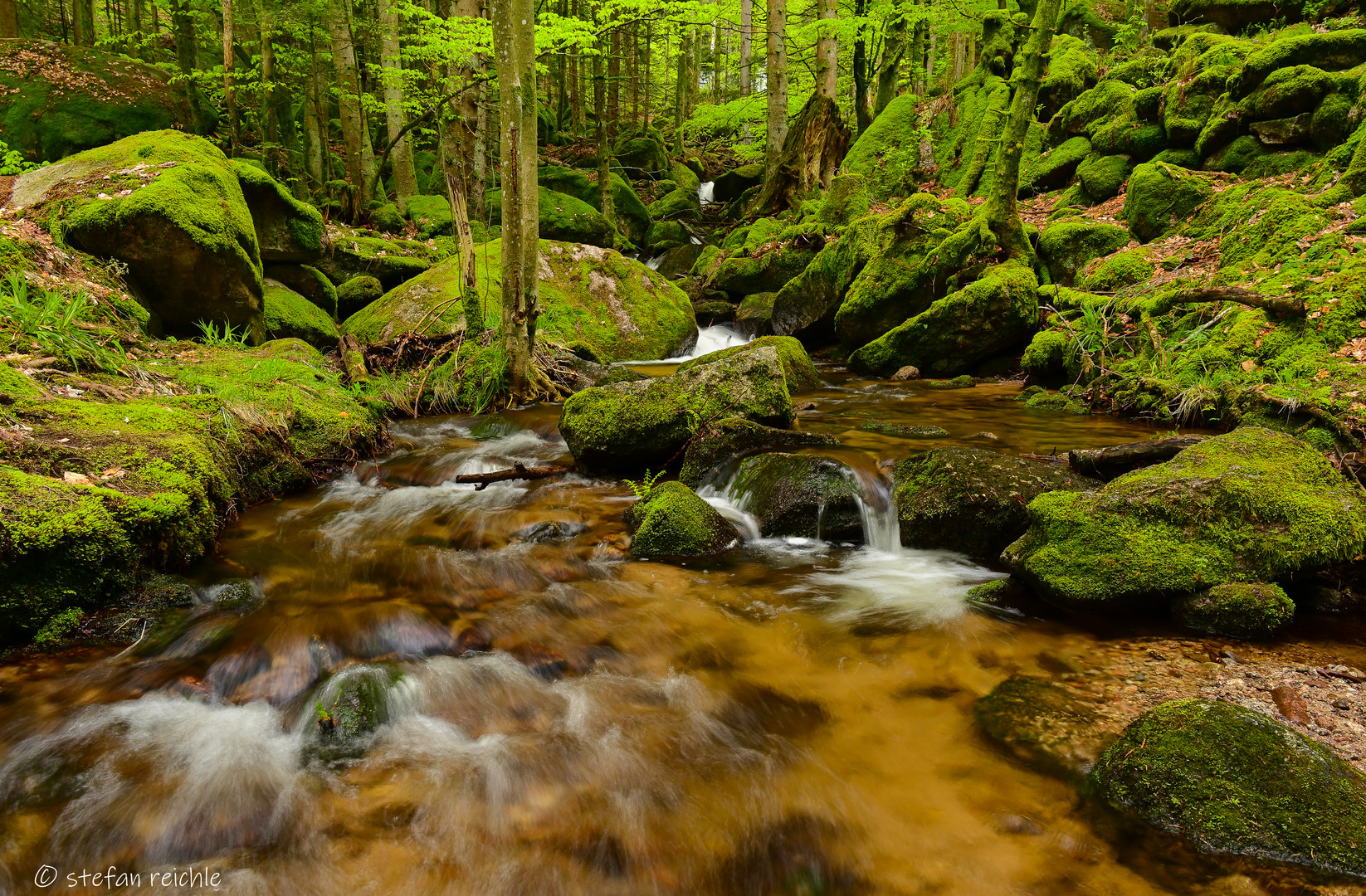 ** Schwarzwald **