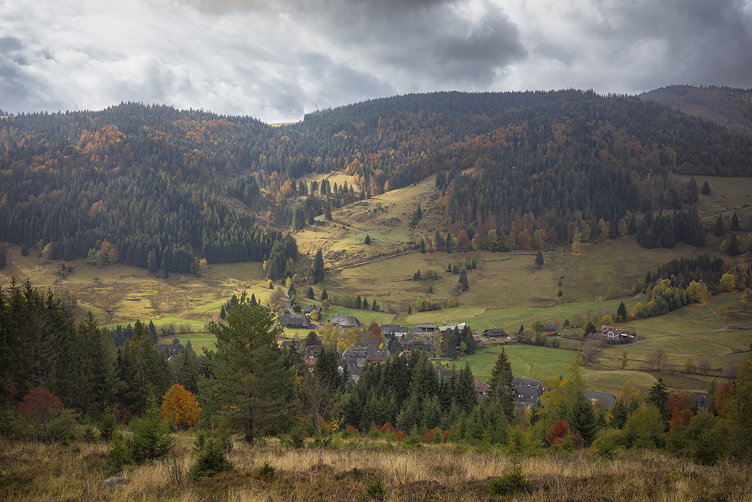 Schwarzwald