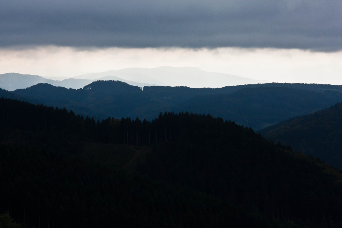 Schwarzwald