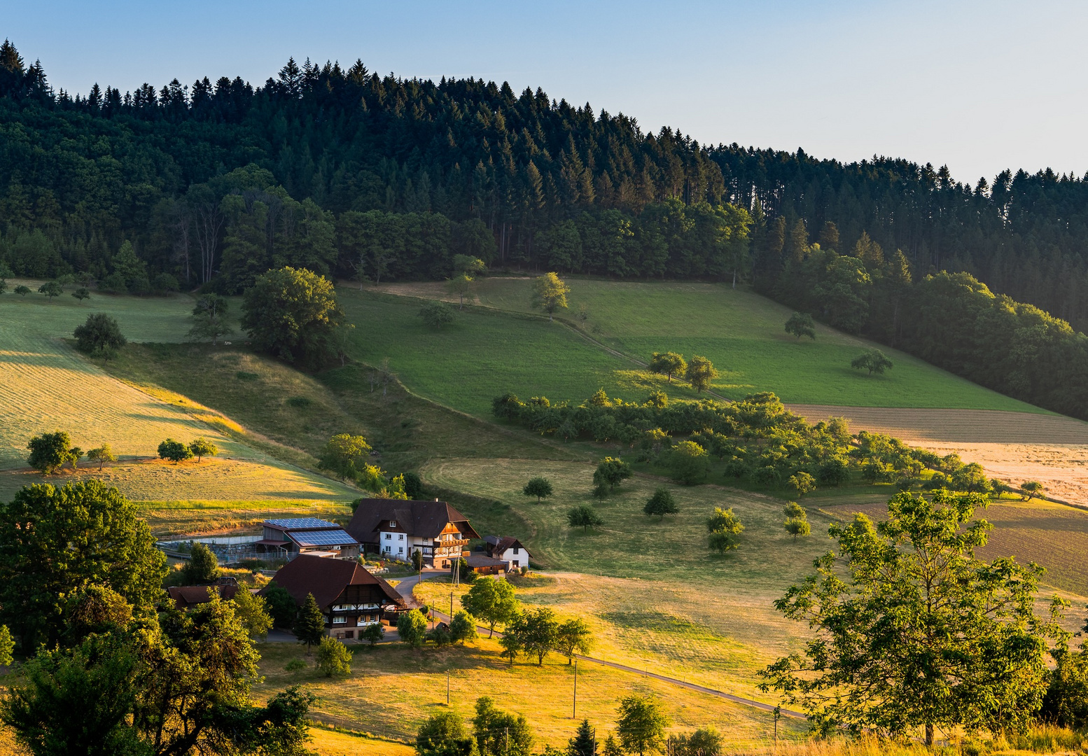 Schwarzwald.