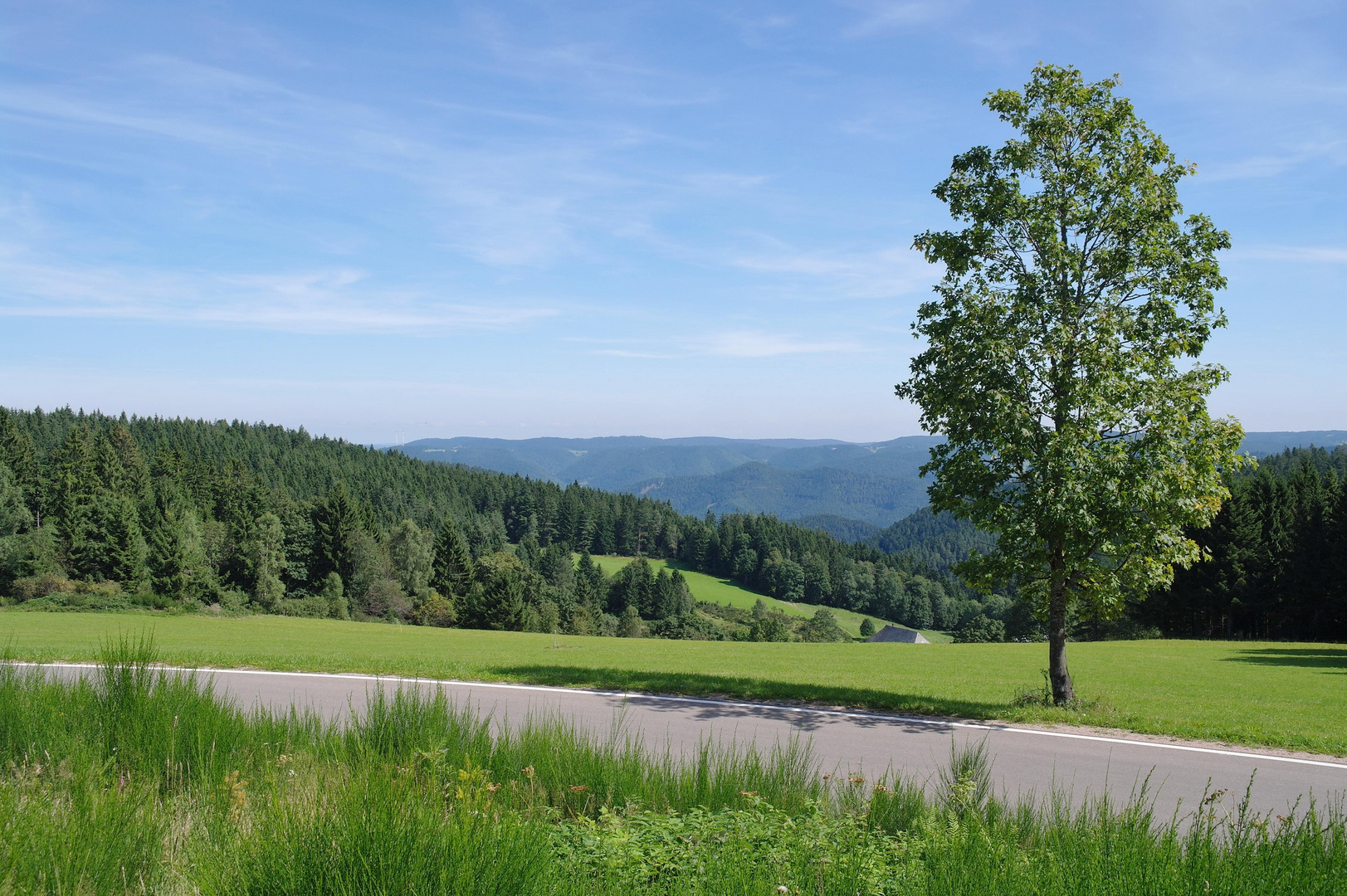 Schwarzwald _10_09_02_13