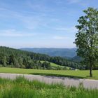 Schwarzwald _10_09_02_13