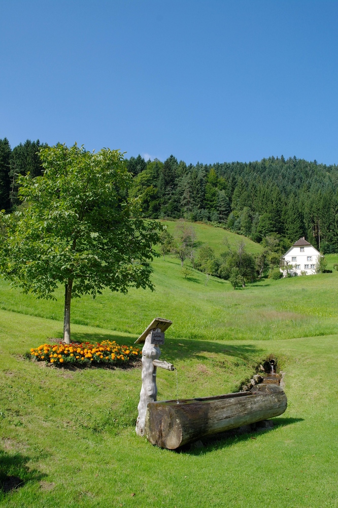 Schwarzwald 10_09_03_10