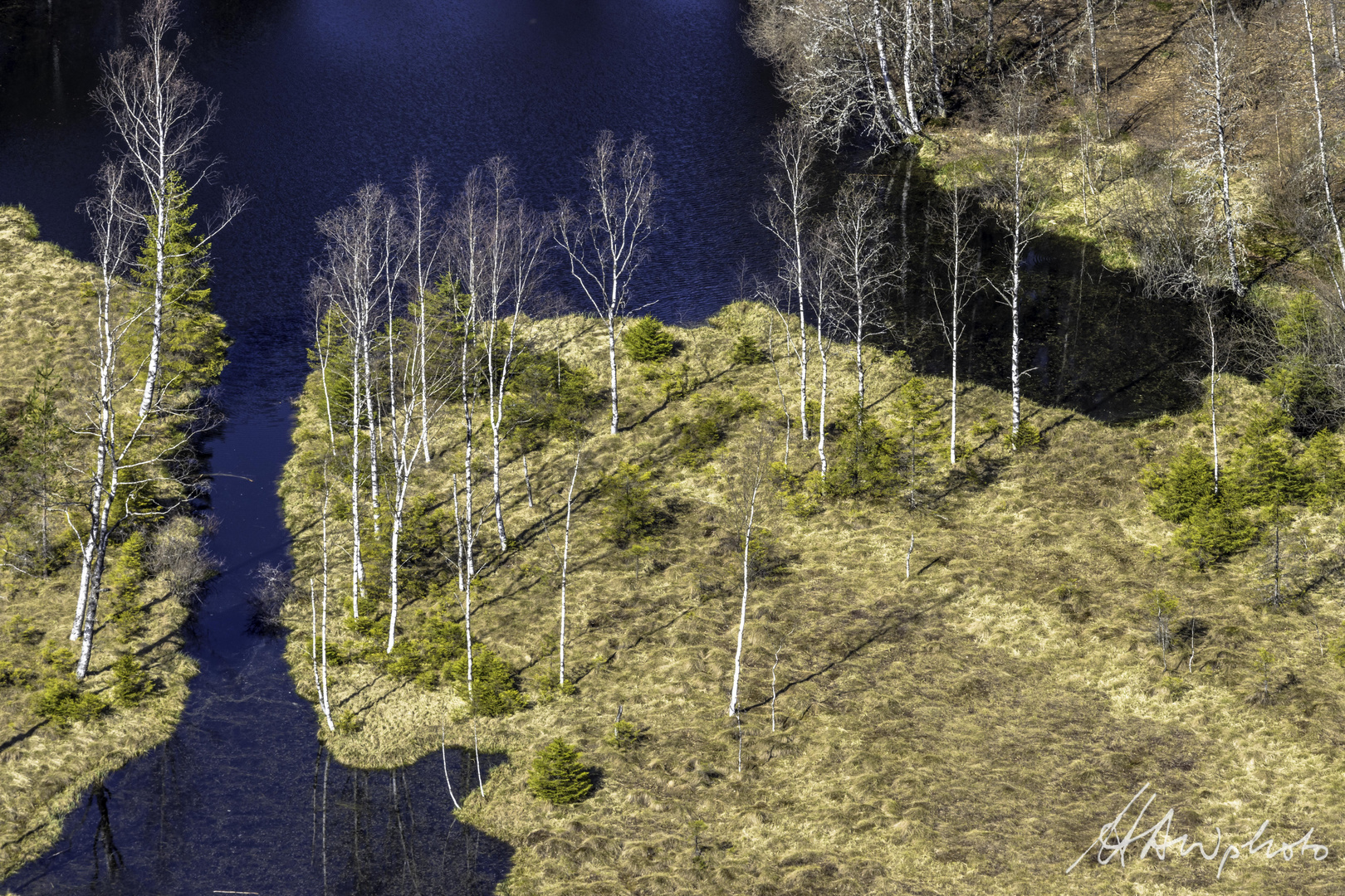 Schwarzwald 12 - Ellbachsee