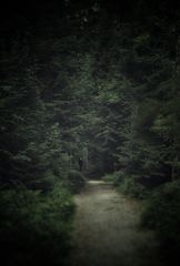 schwarzwald 13