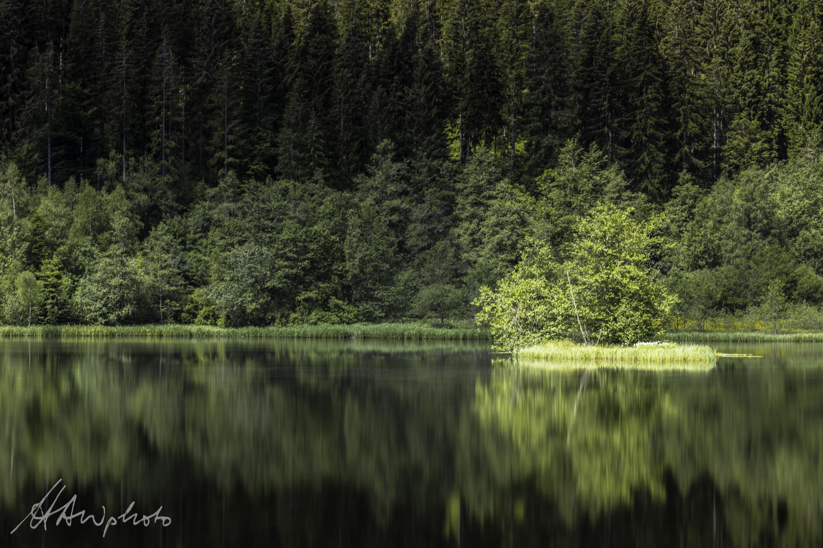 Schwarzwald 13 - Sankenbachsee