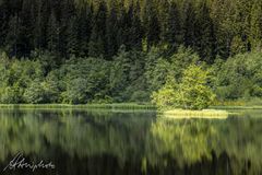 Schwarzwald 13 - Sankenbachsee