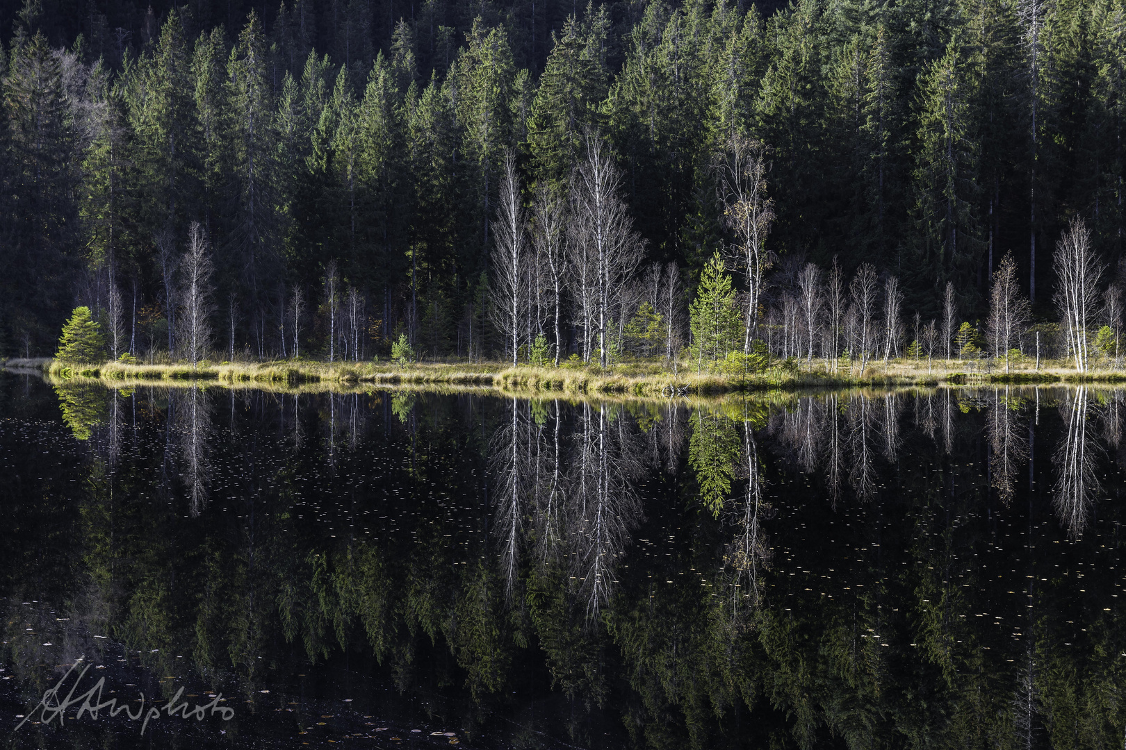 Schwarzwald 14 - Buhlbachsee