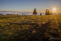 Schwarzwald 15 - Kandel