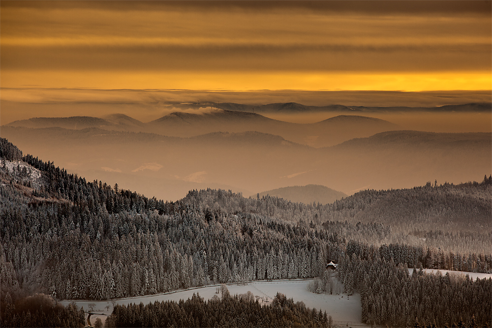 Schwarzwald 16:30...