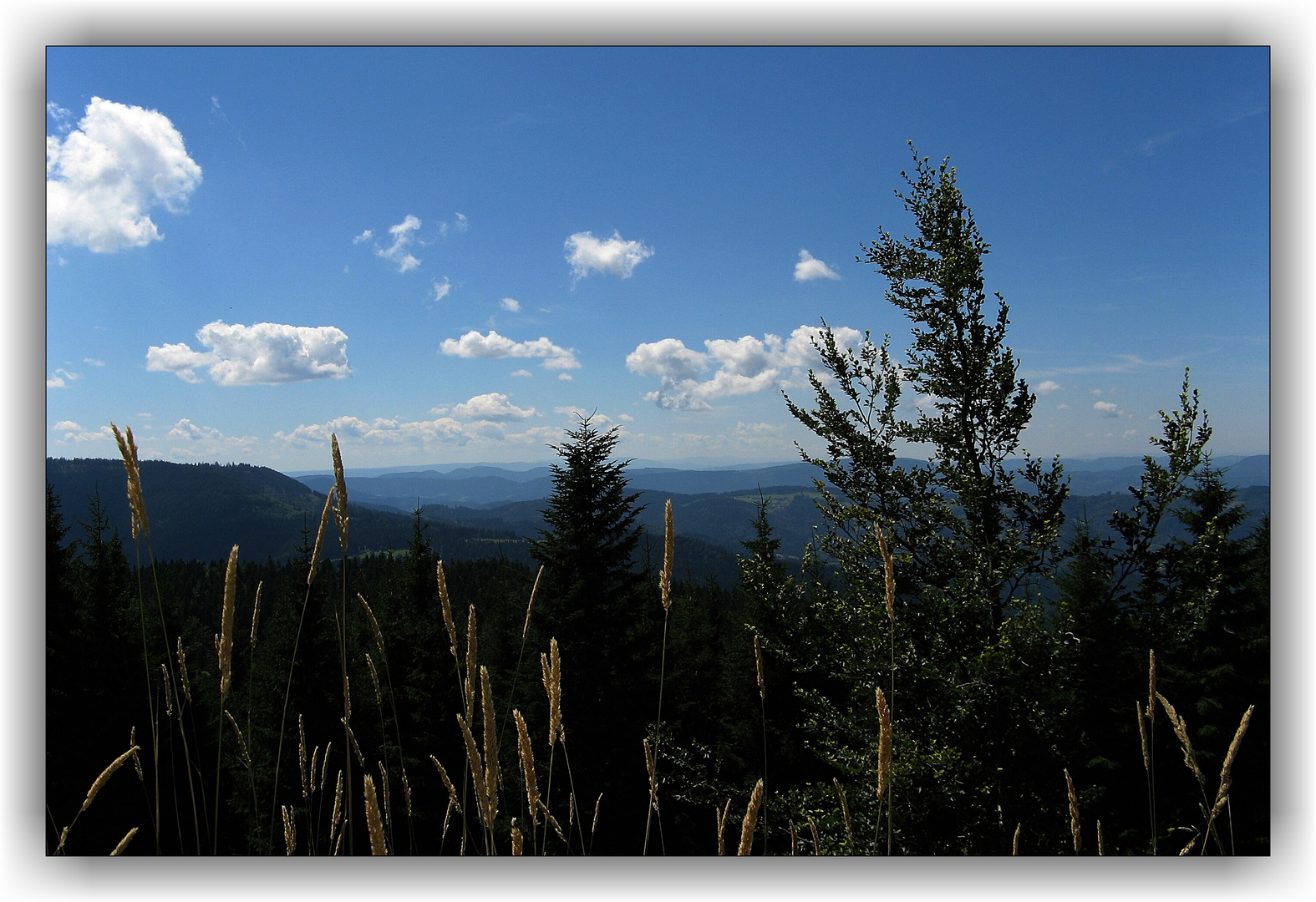 Schwarzwald