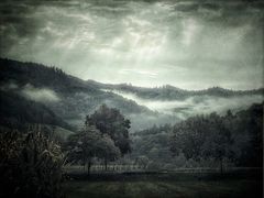 schwarzwald 19