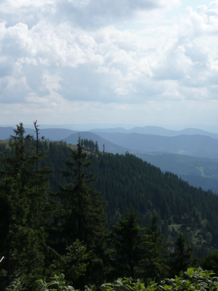 Schwarzwald