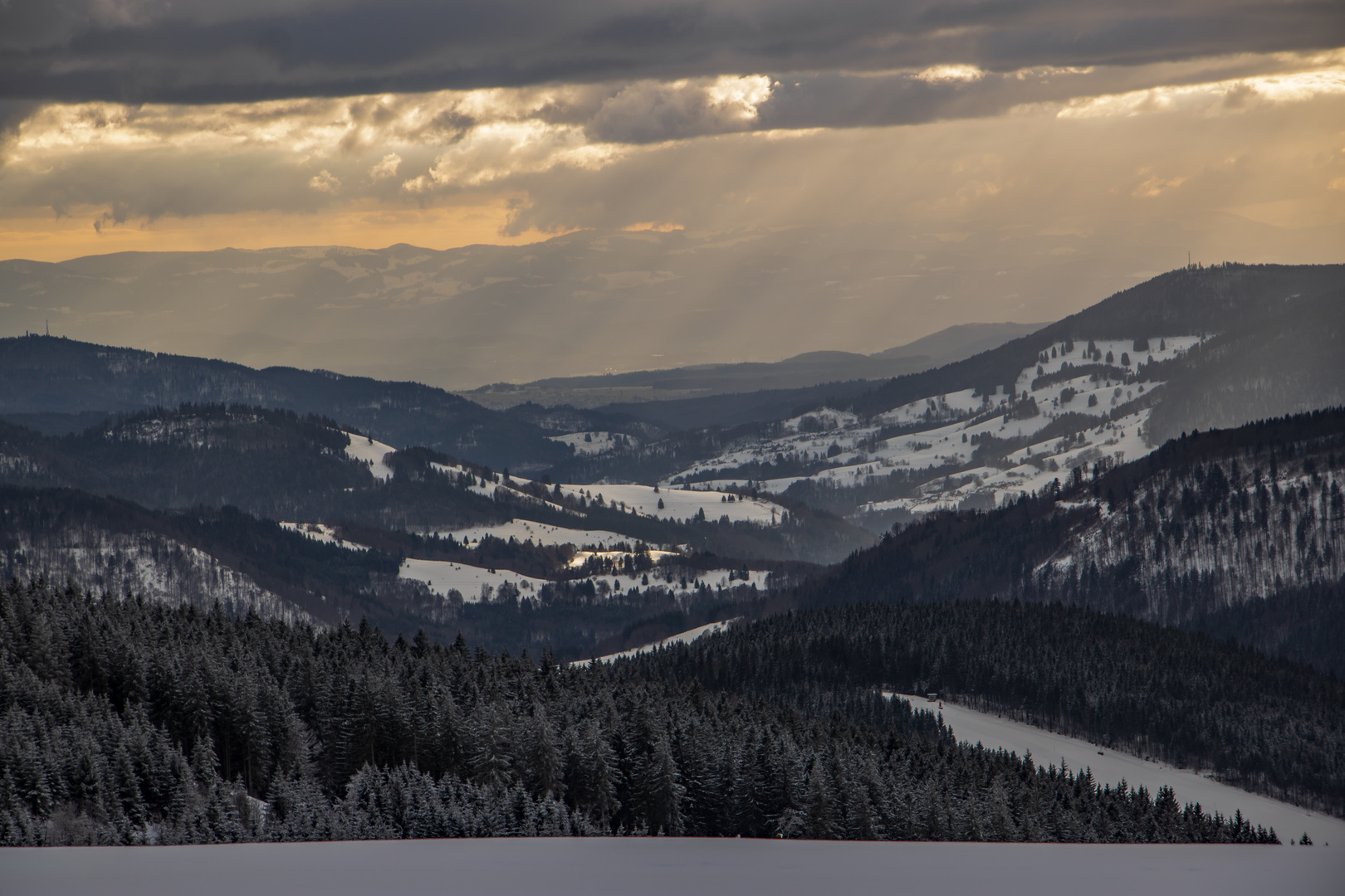 Schwarzwald