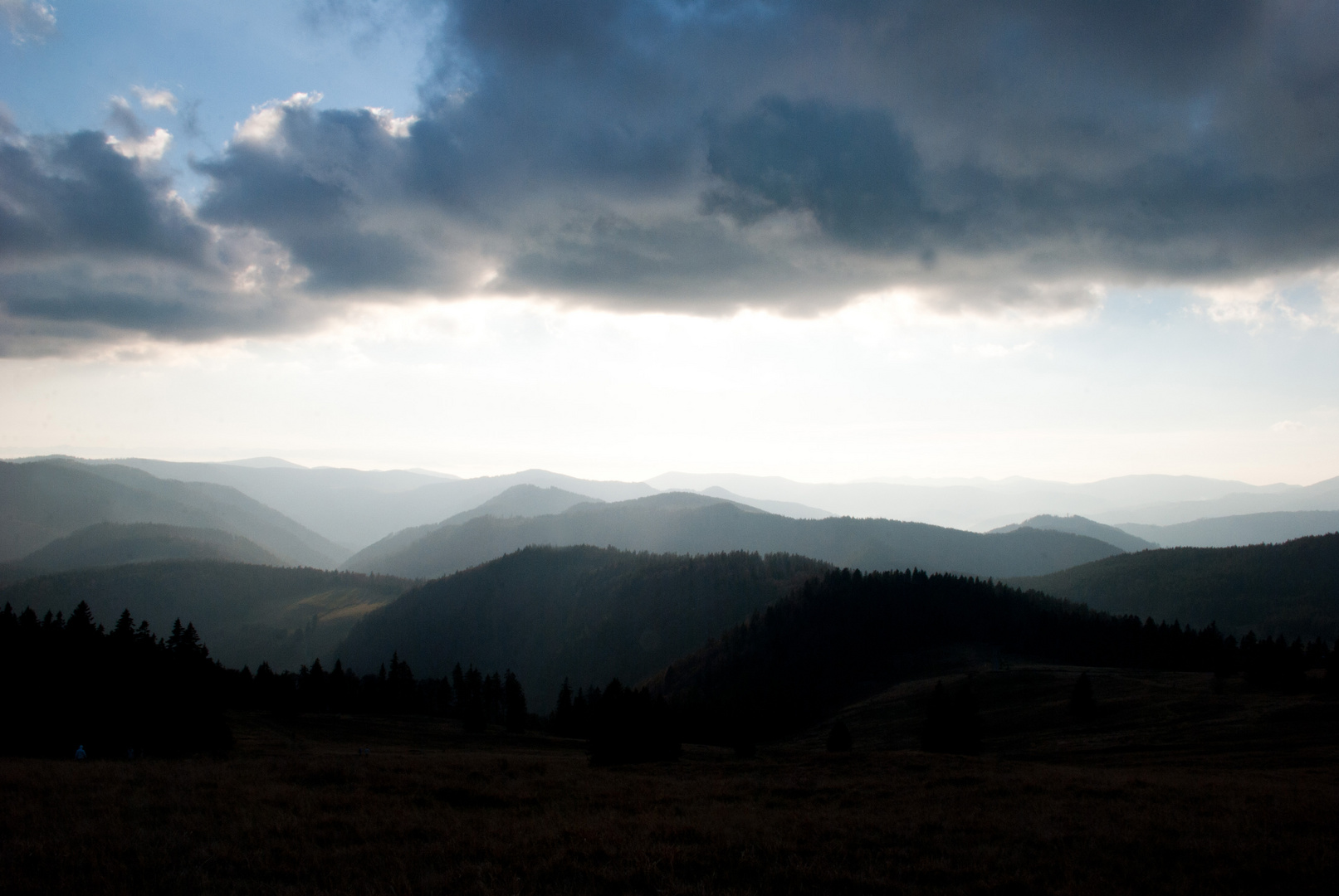 Schwarzwald