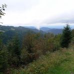 Schwarzwald . . . 2