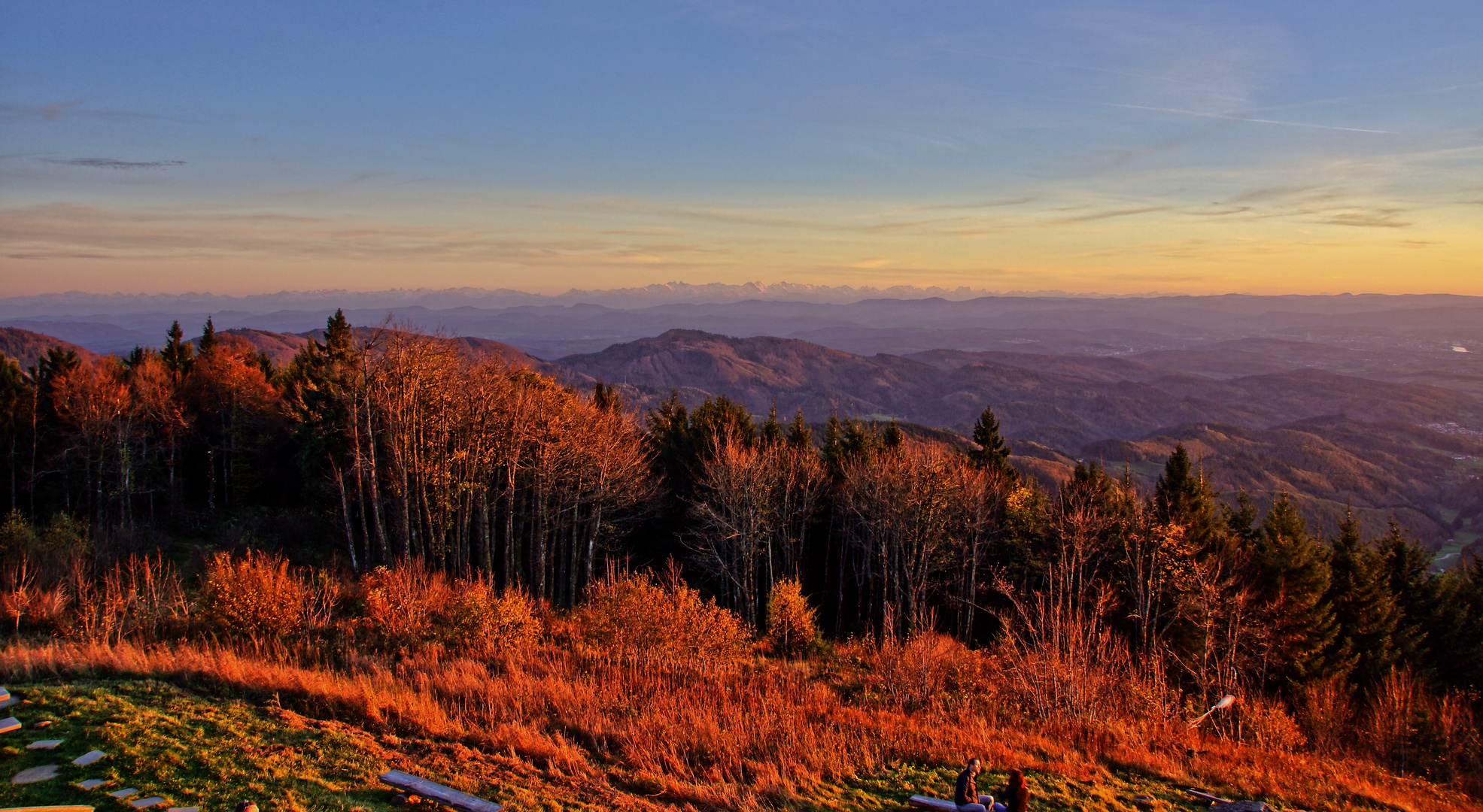 Schwarzwald #2