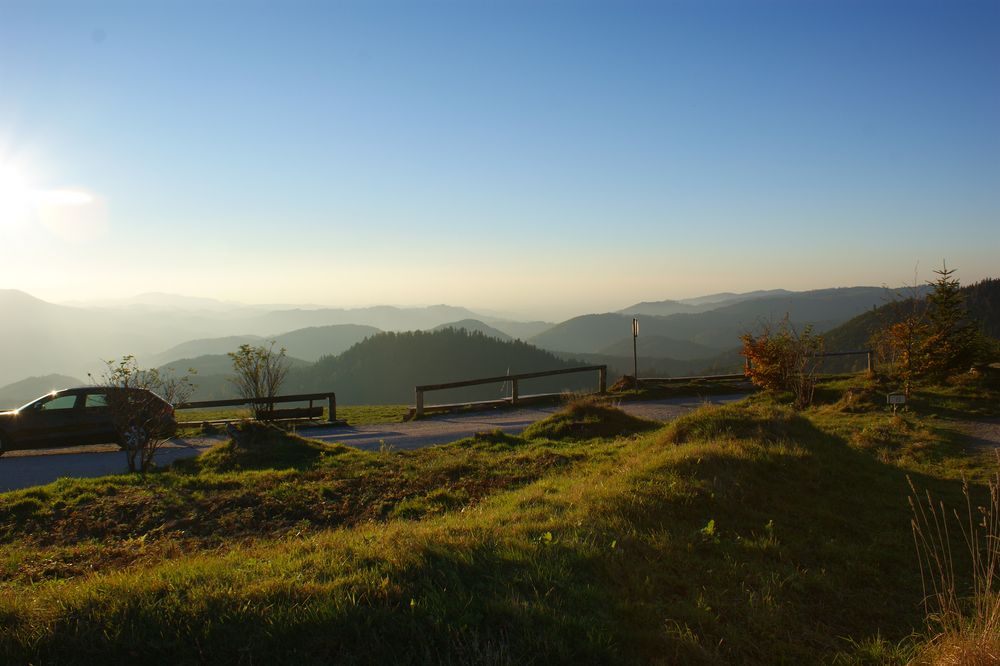 Schwarzwald 2010