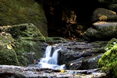 Schwarzwald-20180925-25851