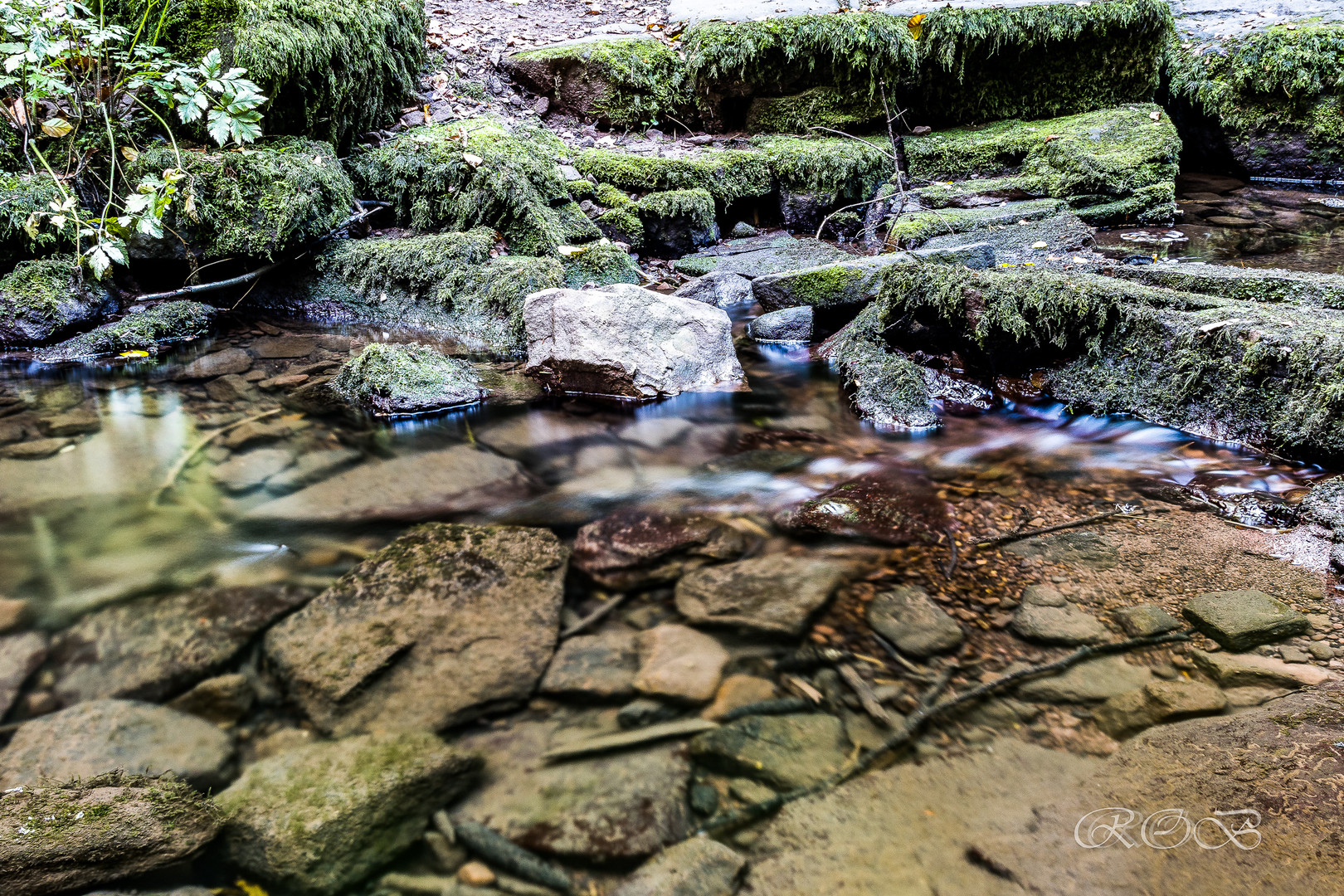 Schwarzwald-20180925-25863