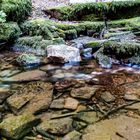 Schwarzwald-20180925-25863